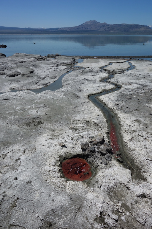 Mono Lake