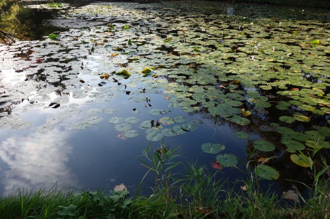 Hakkaido University in Japan