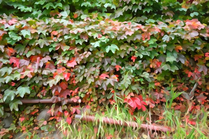 Autumn mood in Japan