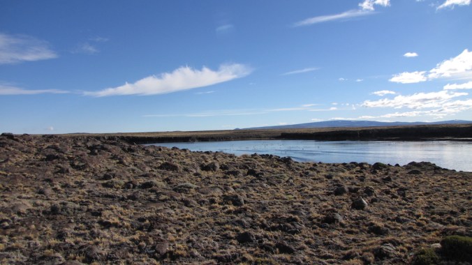 Lake in Argentinean Landscape