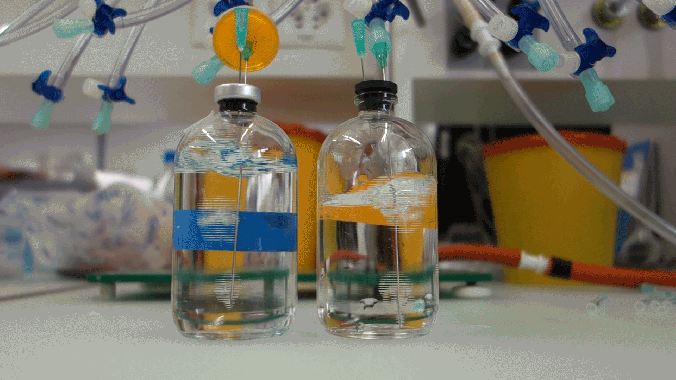 two vials Bubbling