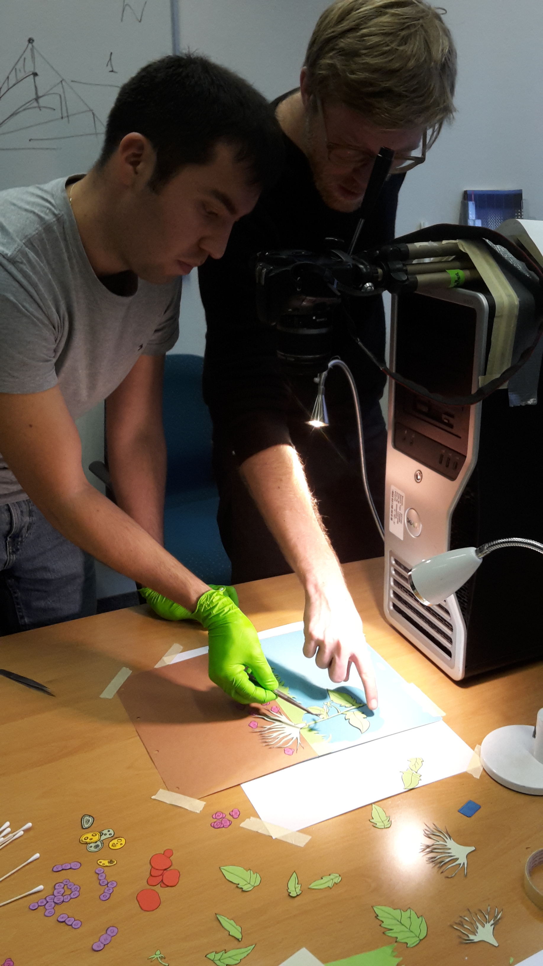 The Mosers Happy Growth