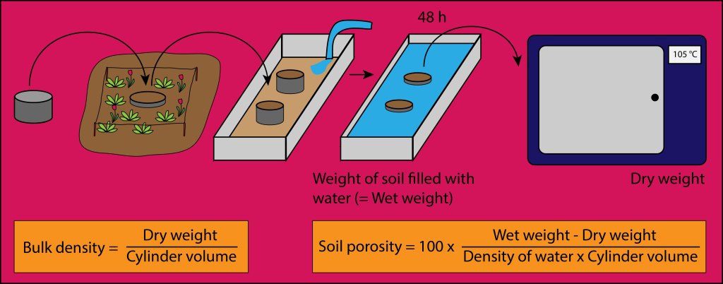 Method for the determination of bulk density and soil porosity