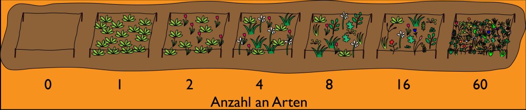 Das Jena Experiment - Verschiedene Anzahlen an Pflanzenarten