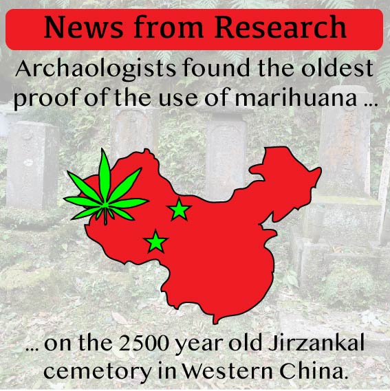 ews from Research - cannabis in China
